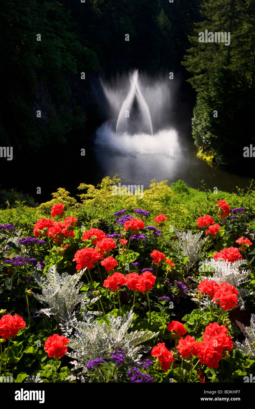 Ross Fontaine à l'Butchart Gardens, Victoria, île de Vancouver, Colombie-Britannique, Canada. Banque D'Images