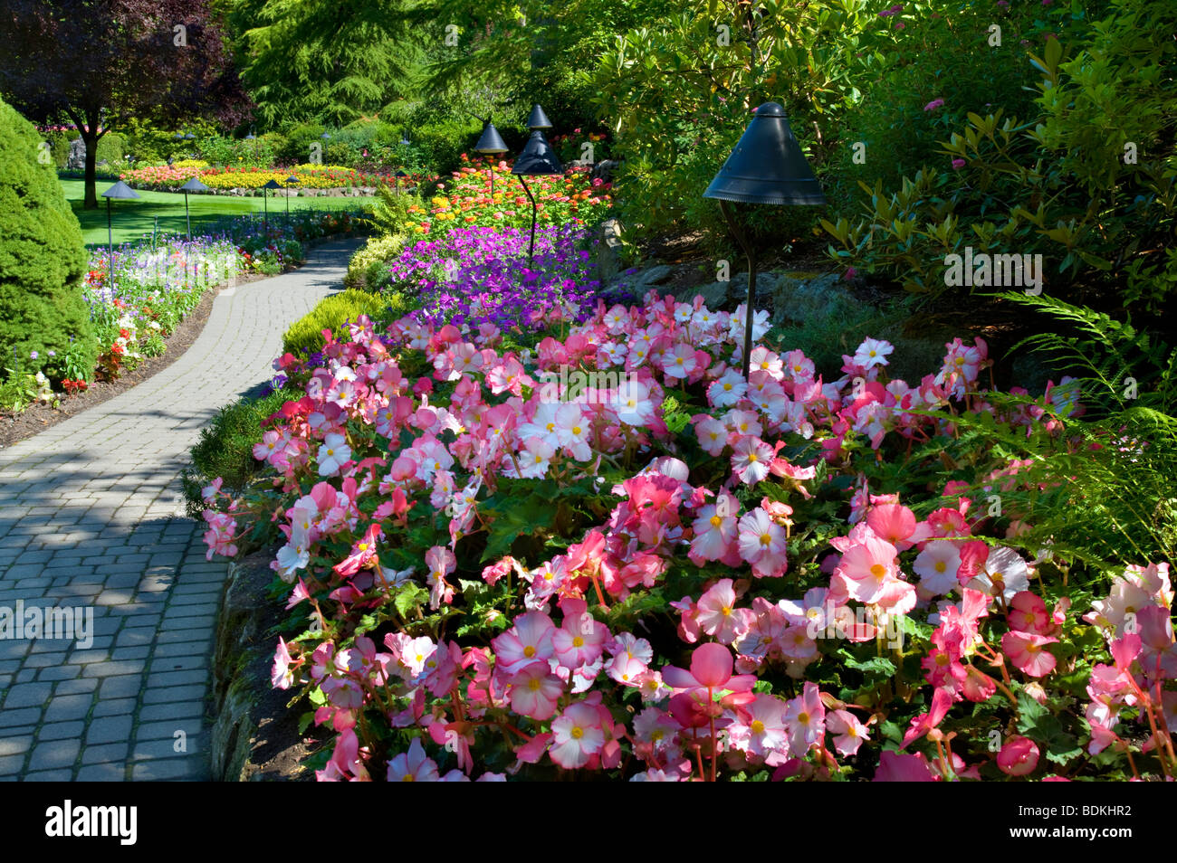 Jardin en contrebas au Butchart Gardens, Victoria, île de Vancouver, Colombie-Britannique, Canada. Banque D'Images