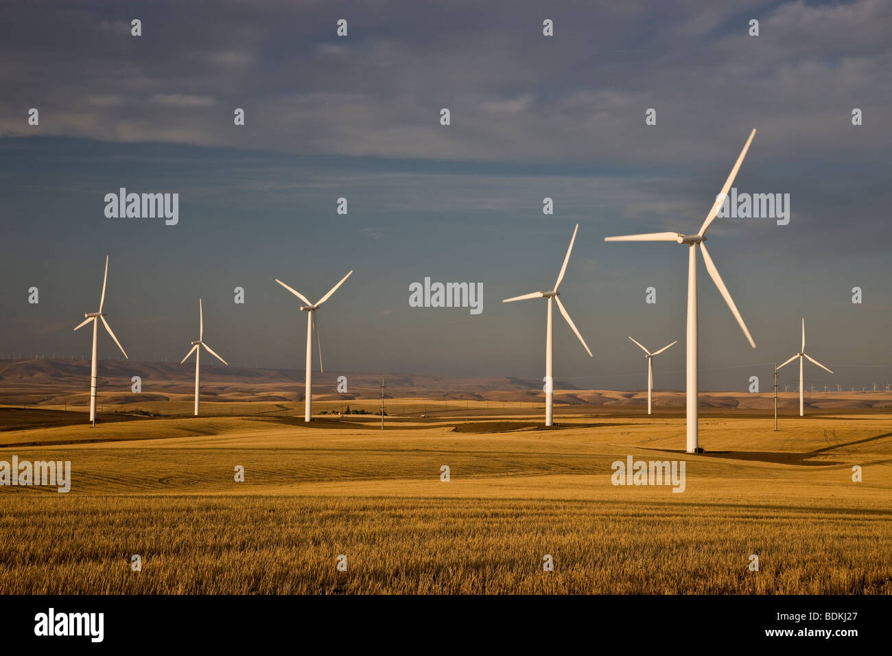 'Éoliennes wind farm' opérant dans le champ de blé moissonné. Banque D'Images