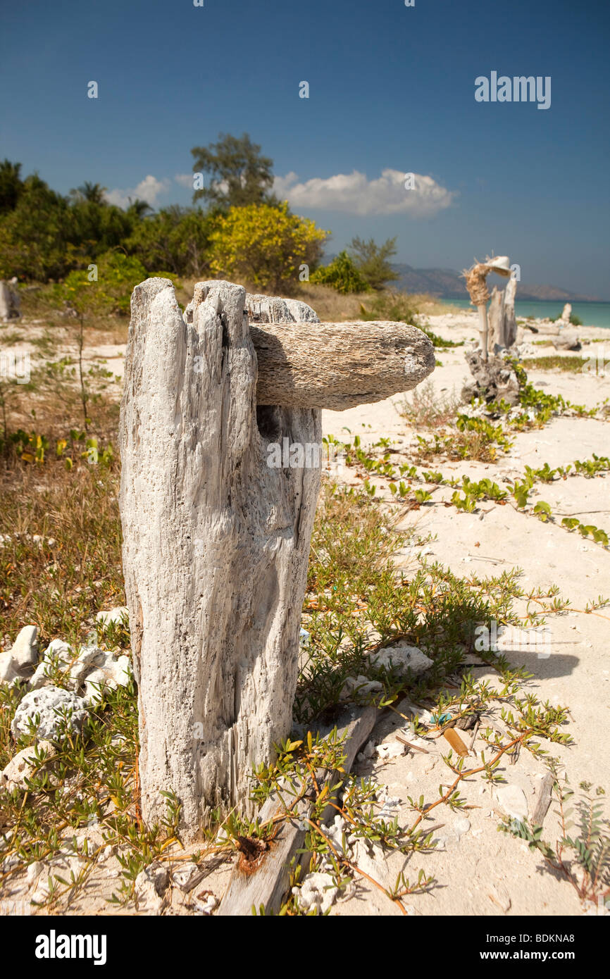 L'Indonésie, Lombok, Gili Air, sculptures de bois flotté derrière une plage de sable blanc Banque D'Images