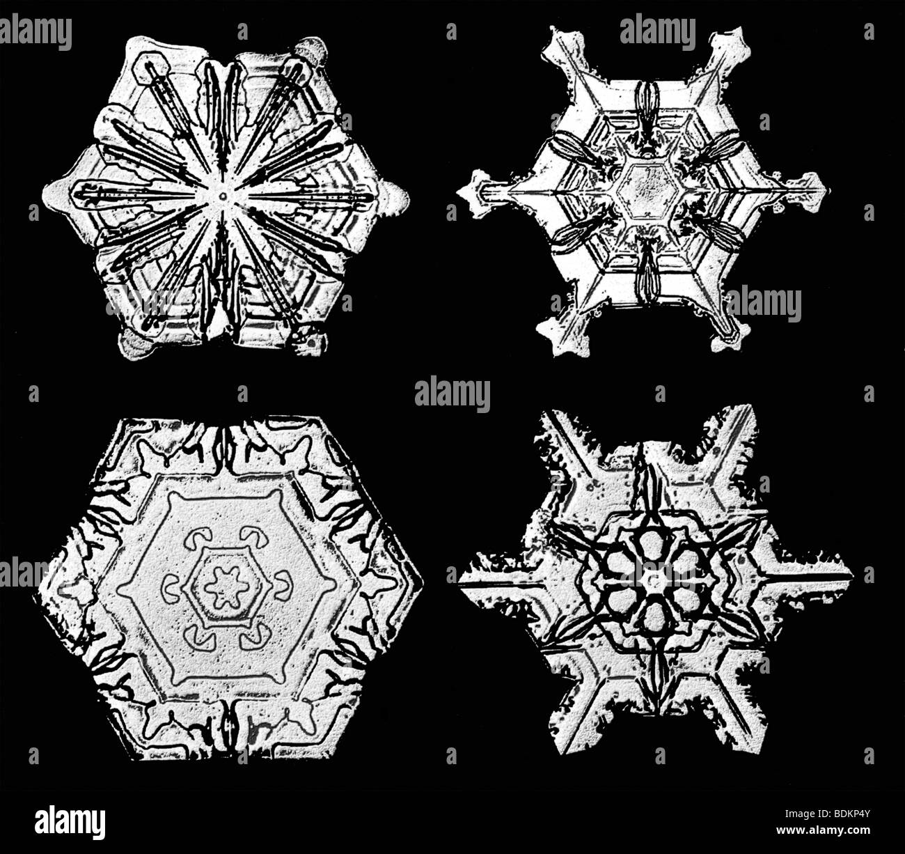 Flocons photographiés par Wilson Alwyn 'Snowflake' Bentley. Chaque flocon montre hexagonale, symétrie à six côtés Banque D'Images