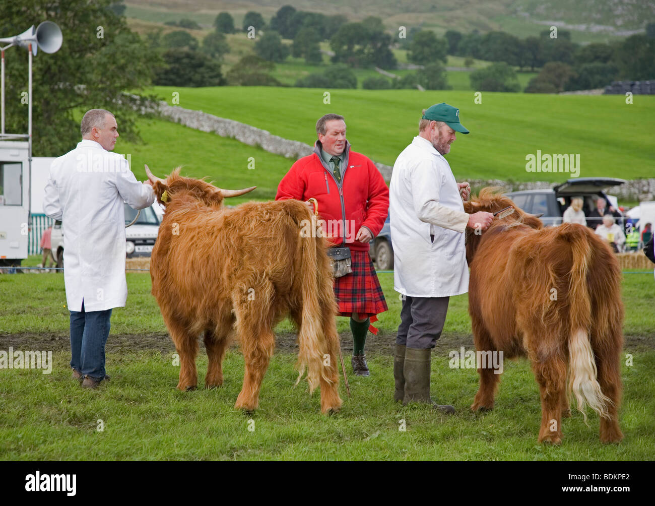 Highland cattle étant jugé par un homme en kilt en tartan écossais, à l'agriculture et de l'agriculture Malham, Yorkshire Dales Banque D'Images