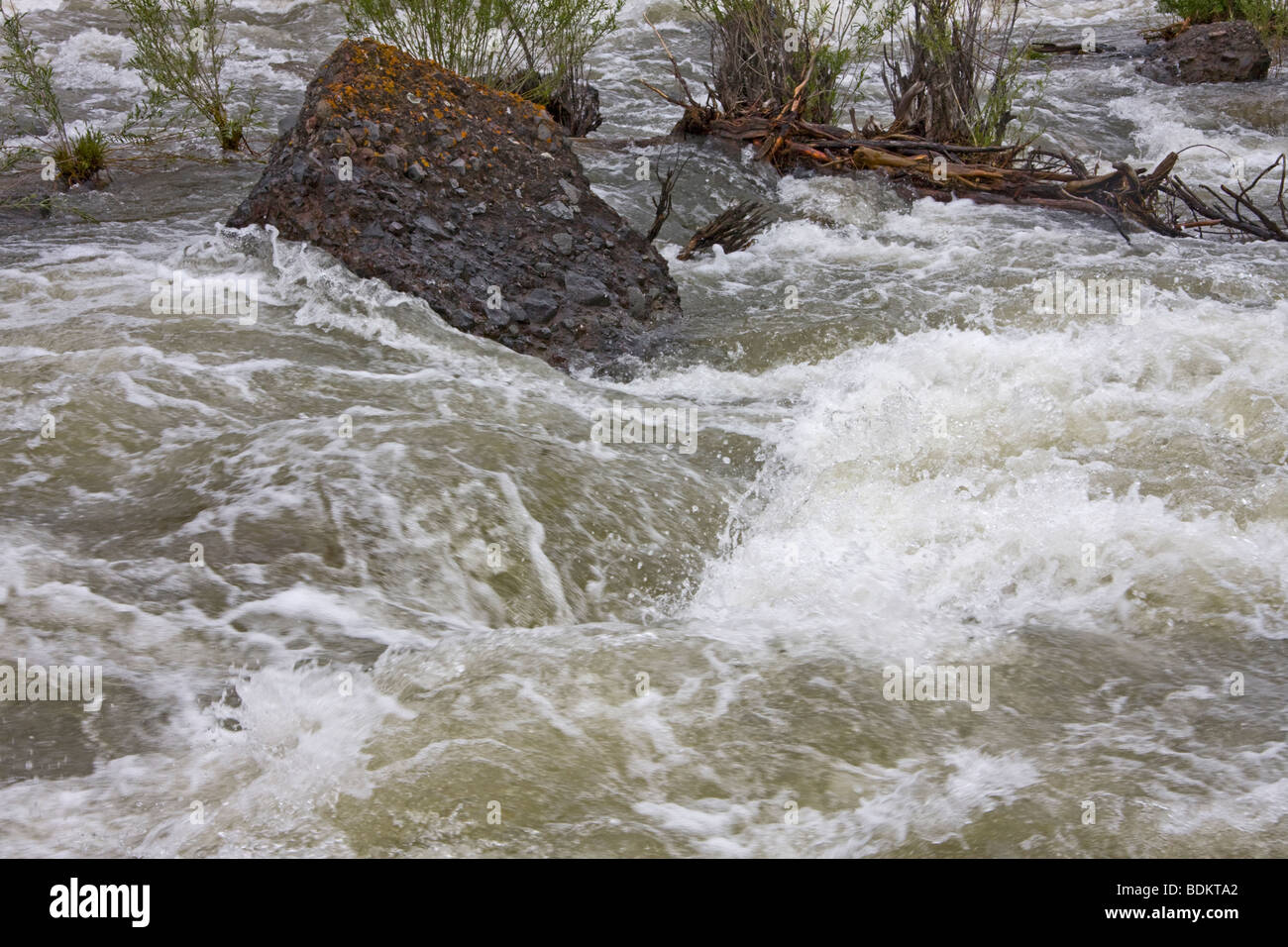 Les eaux de crue de la rivière Gardner, Montana, USA Banque D'Images