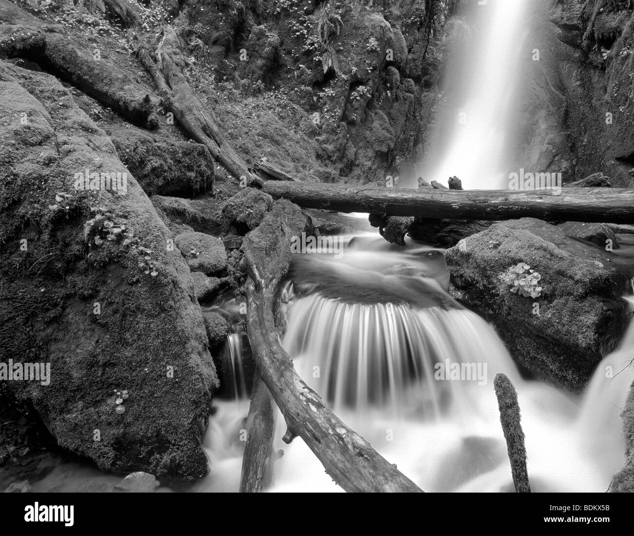Soda Creek Falls. Parc d'état de Cascadia. De l'Oregon. Banque D'Images