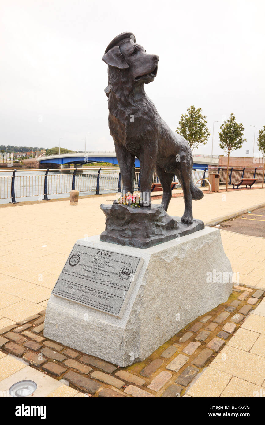 Statue de 'Bamse', un chien de St Bernard qui a servi dans la marine norvégienne pendant la seconde Guerre mondiale. Port de Montrose, Angus, Écosse Banque D'Images