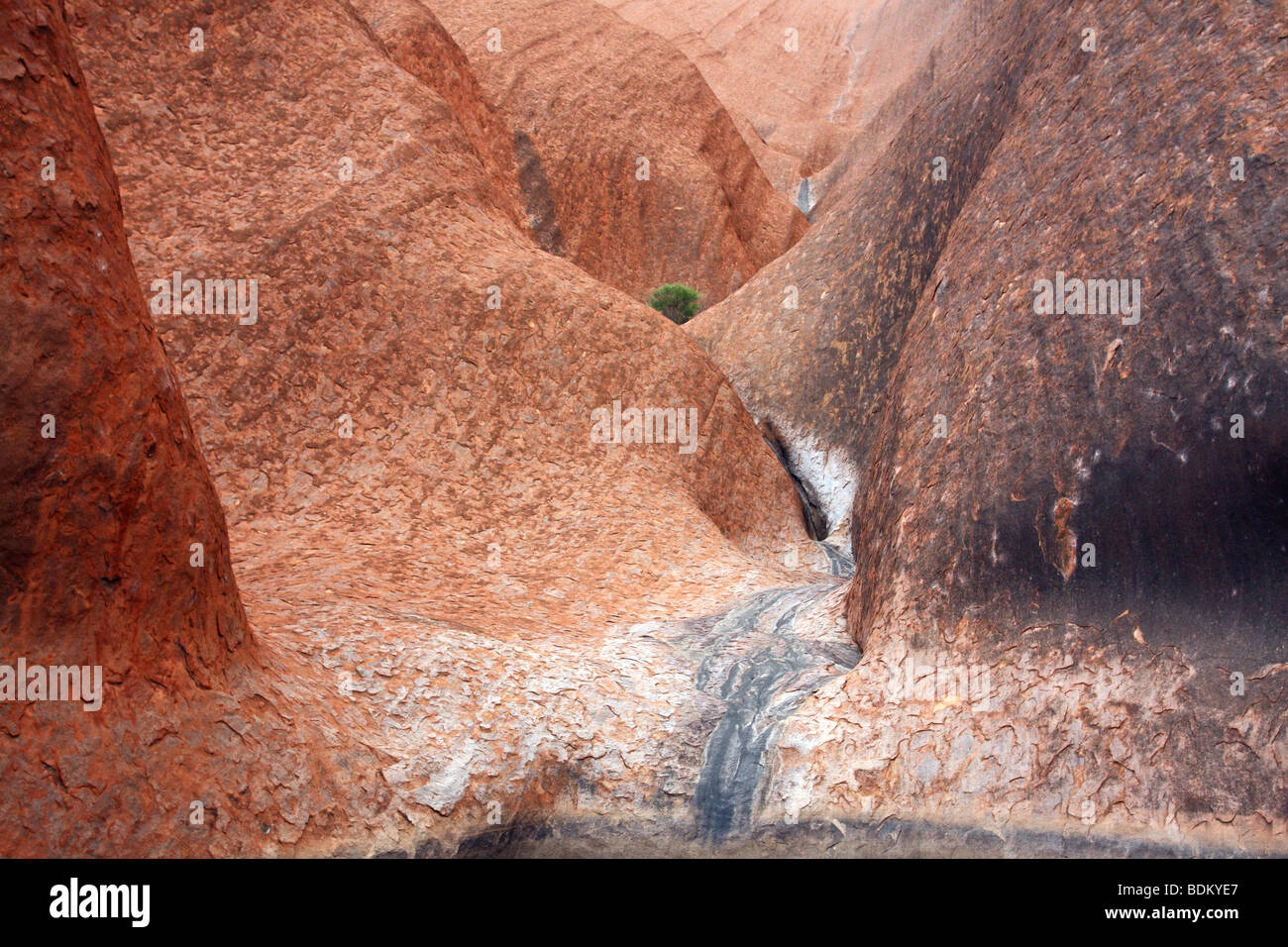 [Détails] Parc national australien d'Uluru conformation et forme. À pied de la base. L'Uluru Kata Tjuta NP. Territoire du Nord, Australie Banque D'Images