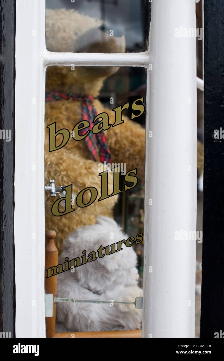 Ours shop window, Ludlow, Shropshire, Angleterre Banque D'Images