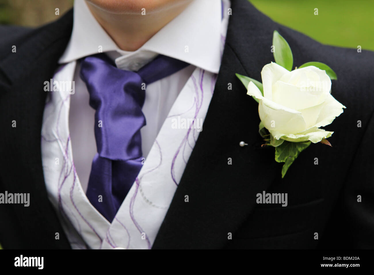Closeup détail d'une crème de l'époux et boutonnière rose purple cravat  collier gilet robe mariage détaillée Photo Stock - Alamy