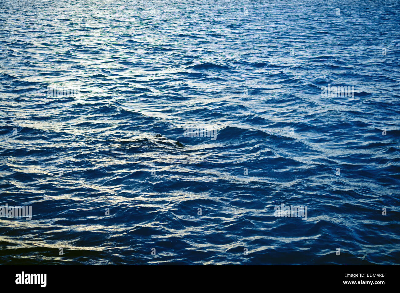 La lumière réfléchie sur la surface de l'eau Banque D'Images