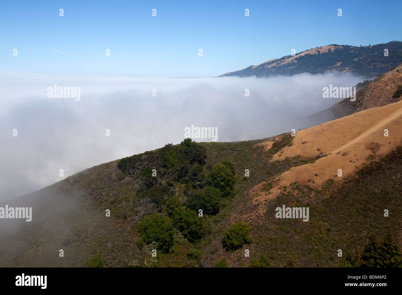 Banc de brouillard le long de la côte de Big Sur, en Californie. Banque D'Images