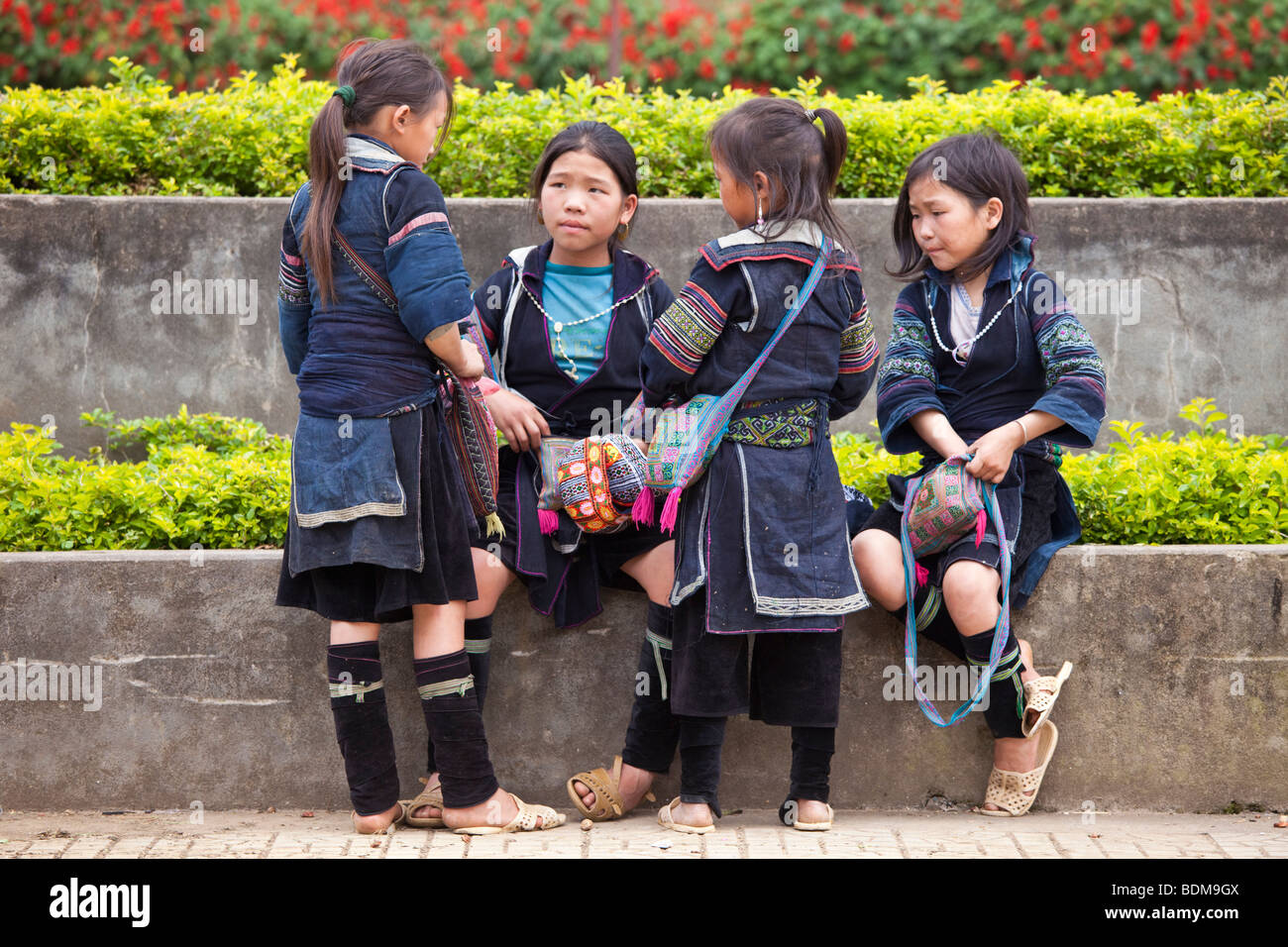 Dame Hmong SAPA, Vietnam du Nord Banque D'Images