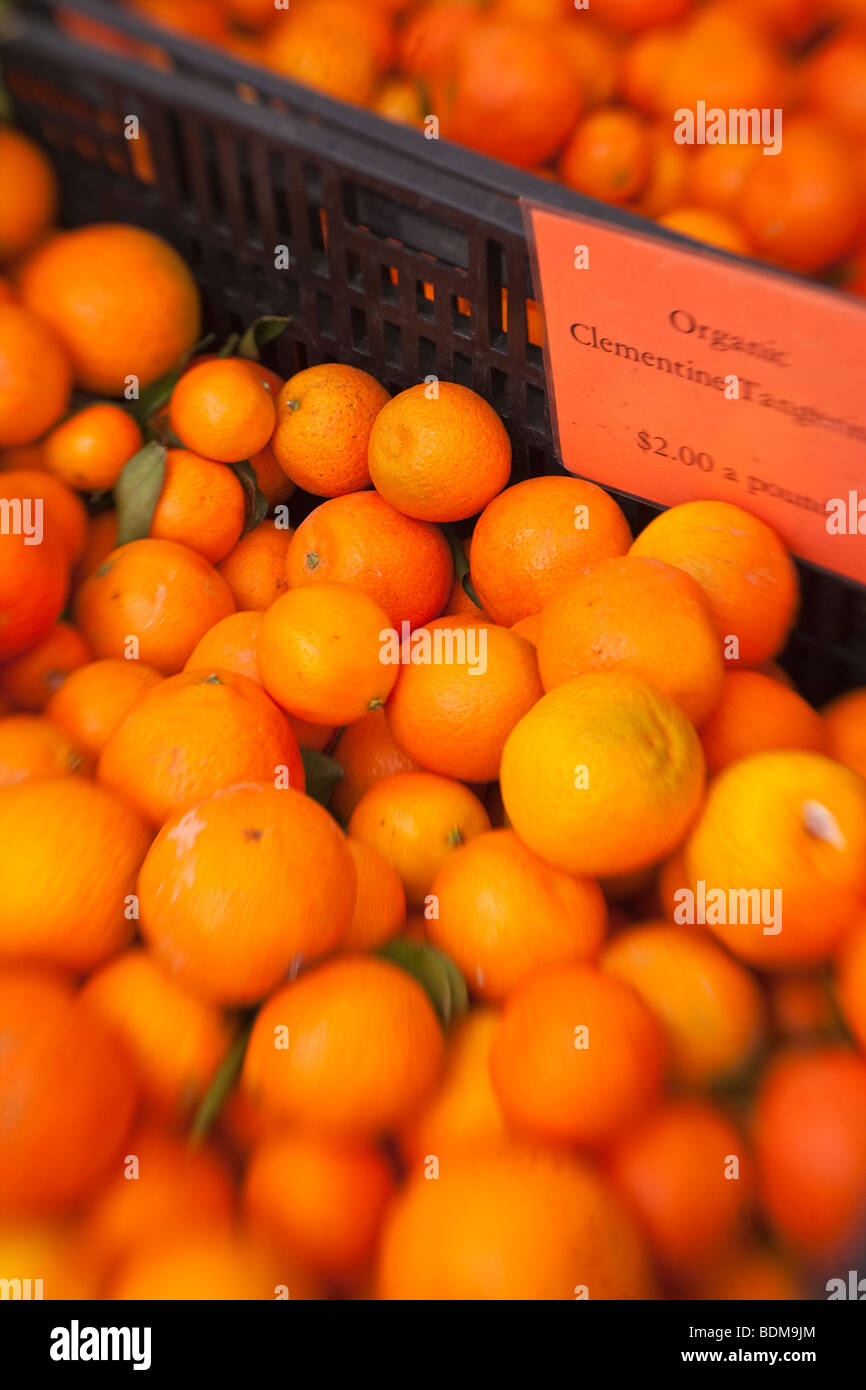 Clémentine bio mandarine, le Farmer's Market, Santa Barbara, Californie, États-Unis d'Amérique Banque D'Images