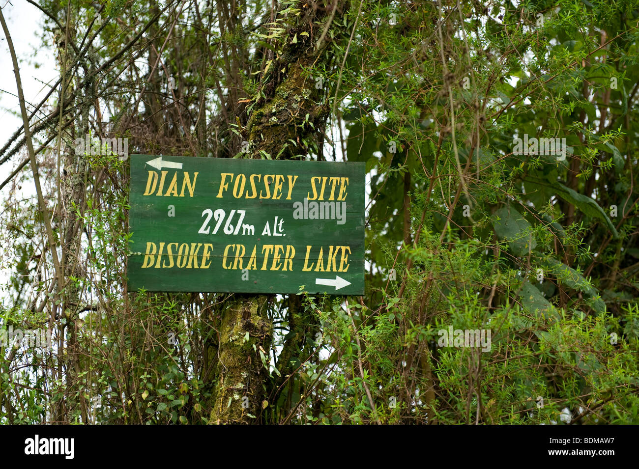 Pancarte, le parc national des volcans, Rwanda Banque D'Images