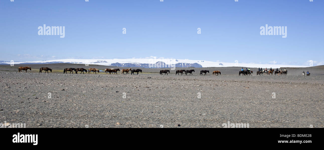 Les chevaux dans les hautes terres d'Islande sur Sprengisandur et le glacier Hofsjokull en retour Banque D'Images