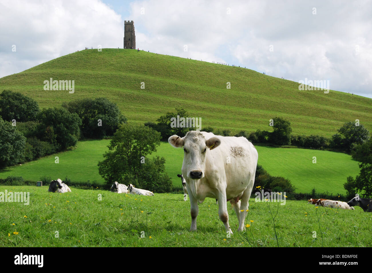 Vue éloignée sur Tor de Glastonbury sur les champs Somerset England Royaume-Uni Banque D'Images