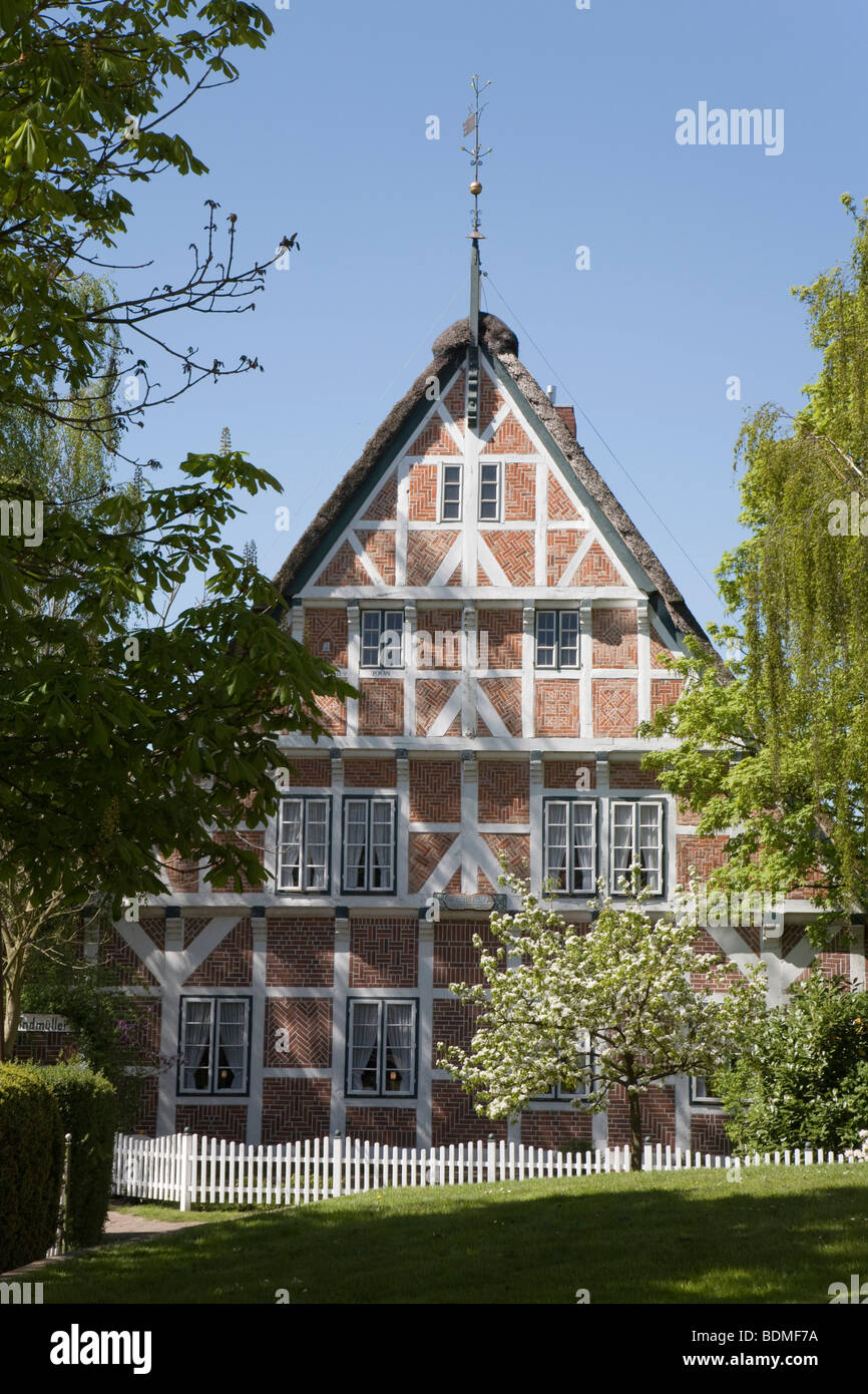 Altlaender caractéristique ferme, fleur de cerisier, région de l'Altes Land, cours inférieur de l'Elbe, Basse-Saxe, Allemagne du Nord, l'Allemagne, de l'Europe Banque D'Images