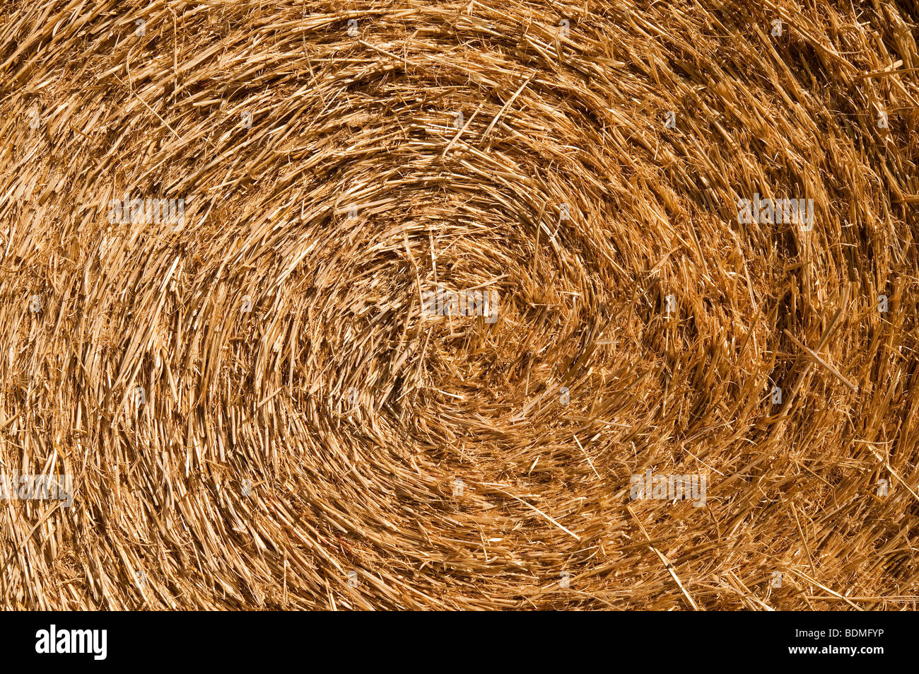 Détail de la paille en balles - Indre-et-Loire, France. Banque D'Images