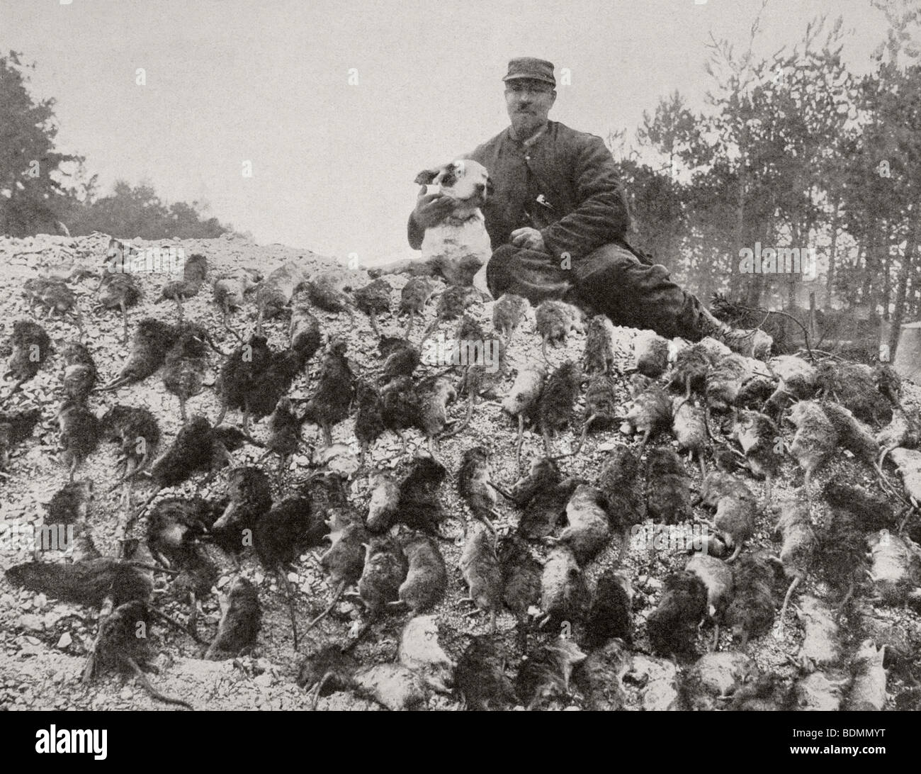 Ratcatcher avec ses prises des tranchées pendant la Première Guerre mondiale. Banque D'Images