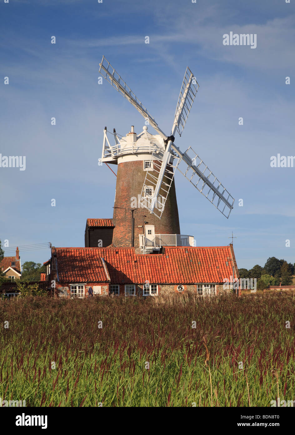 Le CLAJ moulin, maintenant converti à un B et B à plus d'une roselière dans l'été à la mer, suivant le CLAJ North Norfolk, Angleterre Banque D'Images