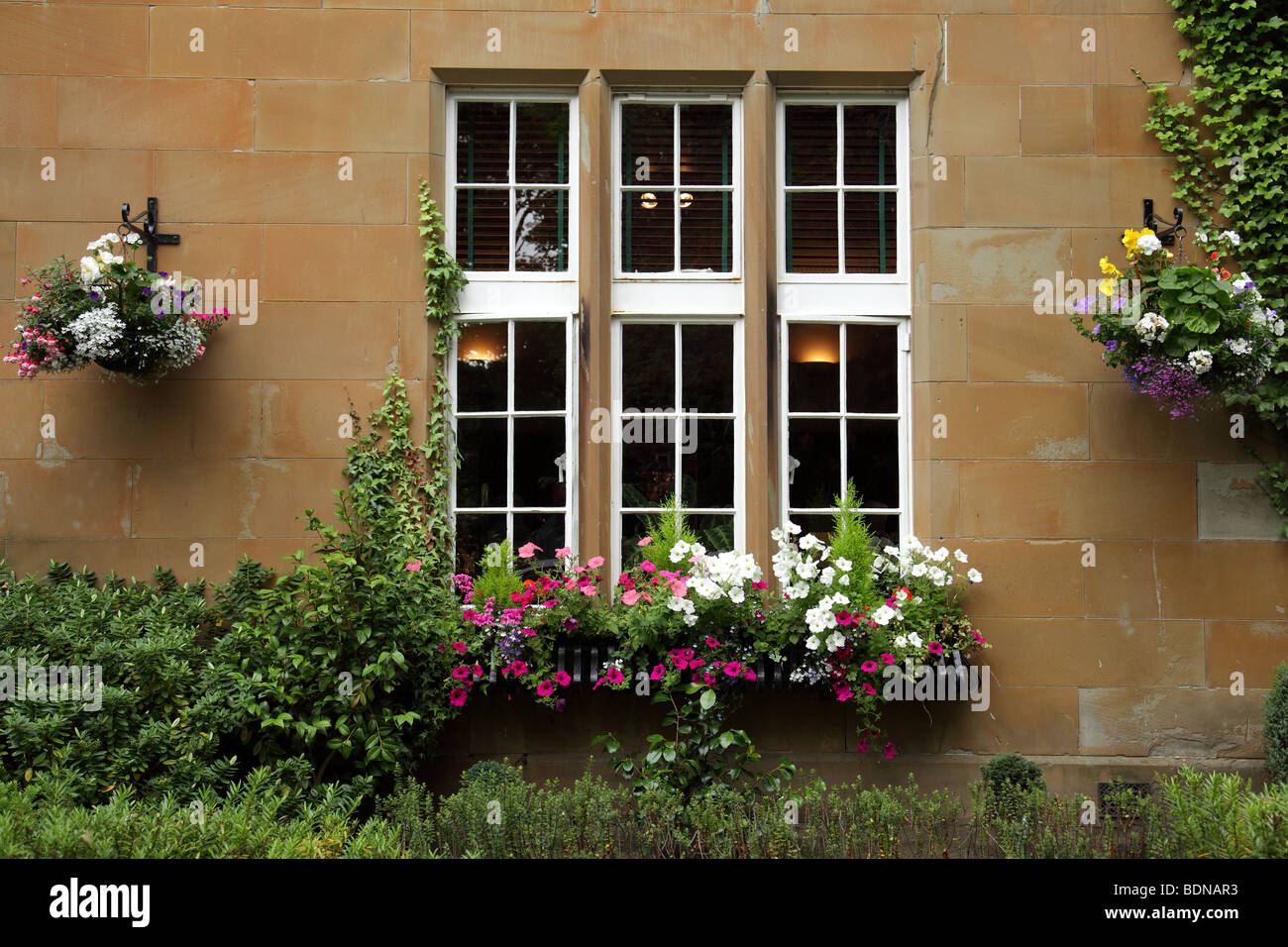 Fleurs d'été dans une boîte de fenêtre et paniers suspendus, Royaume-Uni Banque D'Images