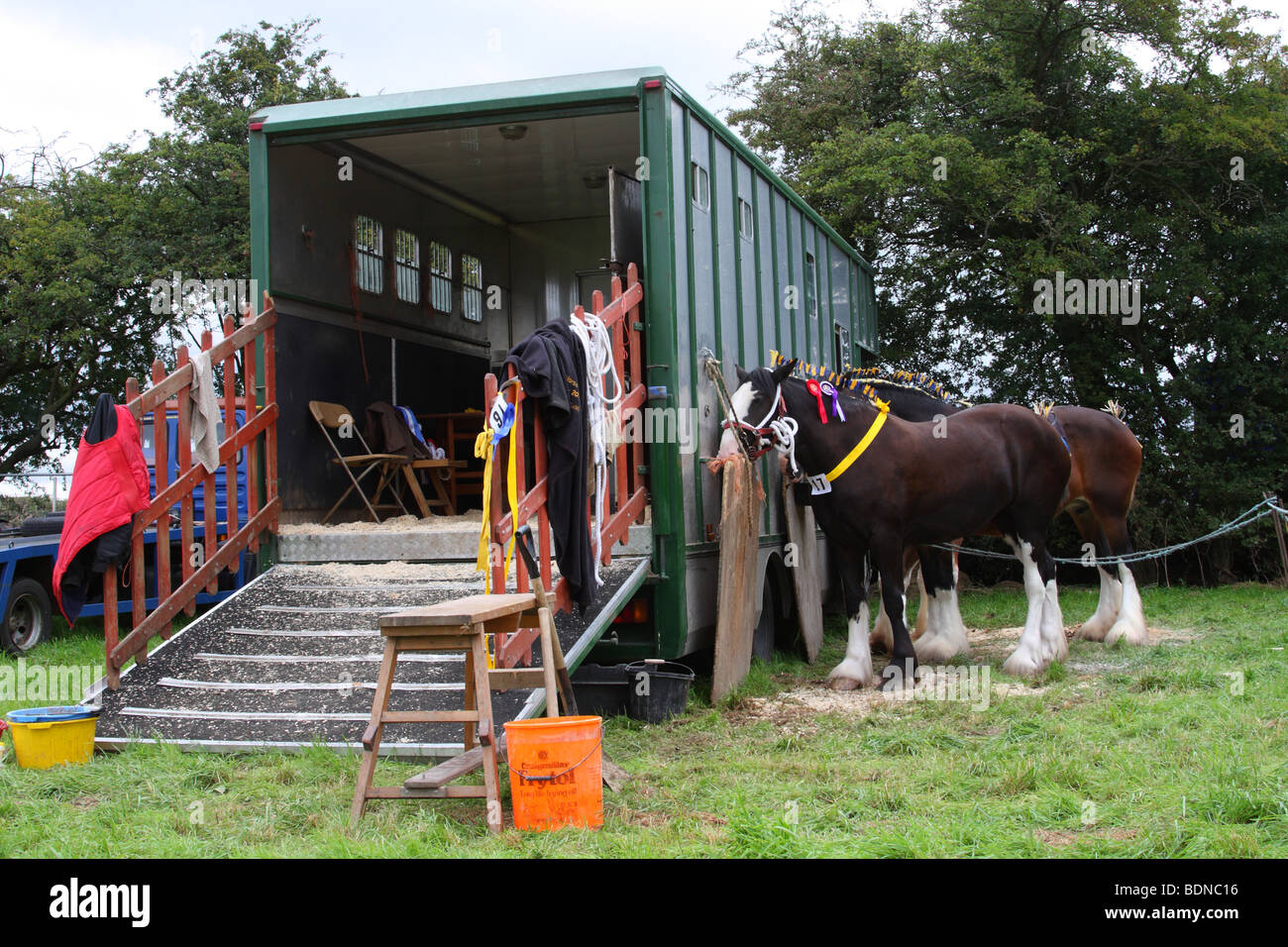 Les chevaux attachés à un cheval fort à l'Moorgreen Moorgreen, Show, Nottinghamshire, Angleterre, Royaume-Uni Banque D'Images