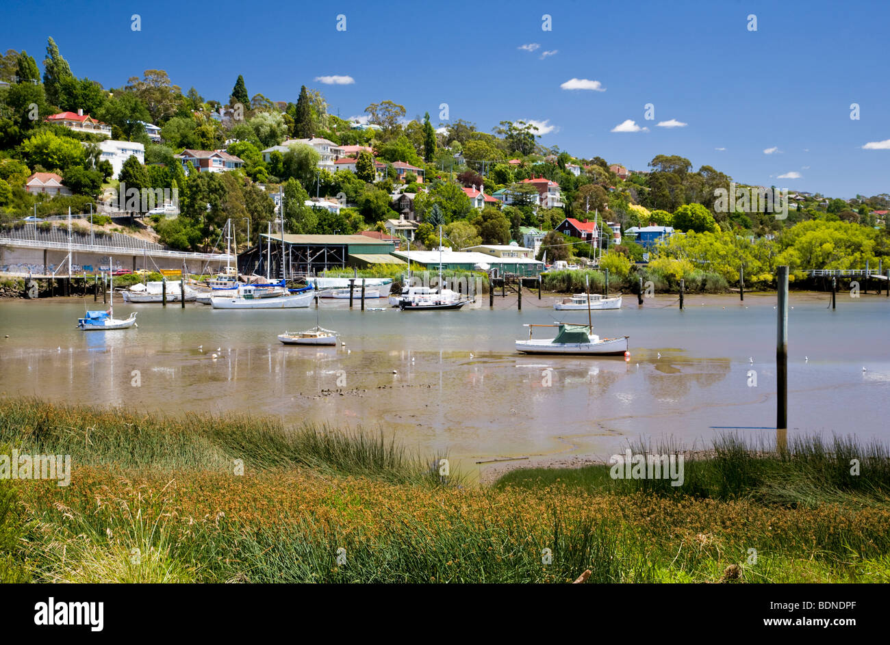Bateaux sur le fleuve Tamar Launceston, Tasmanie, Australie, de Kings Park Banque D'Images