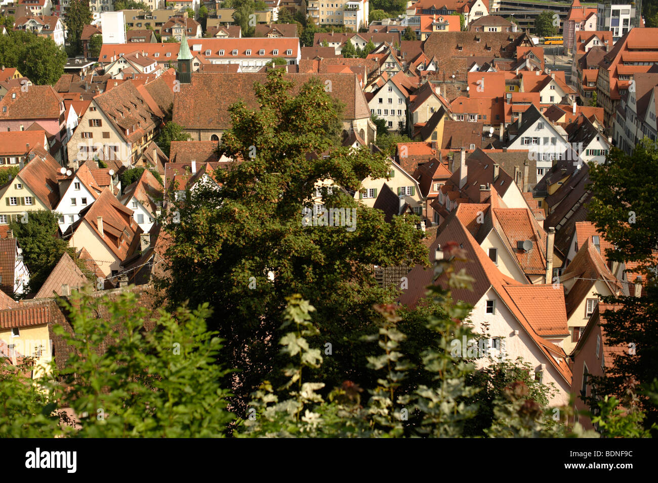 Ville historique, Tuebingen, Bade-Wurtemberg, Allemagne, Europe Banque D'Images