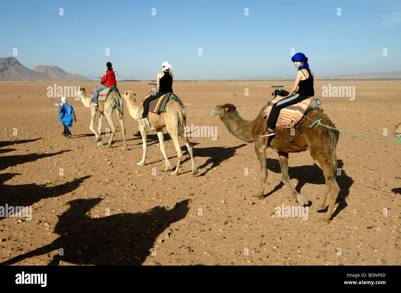 Touristes européens ou occidentaux en Camel Ride ou Camel Riding dans le désert du Sahara près de Zagora, Maroc Banque D'Images