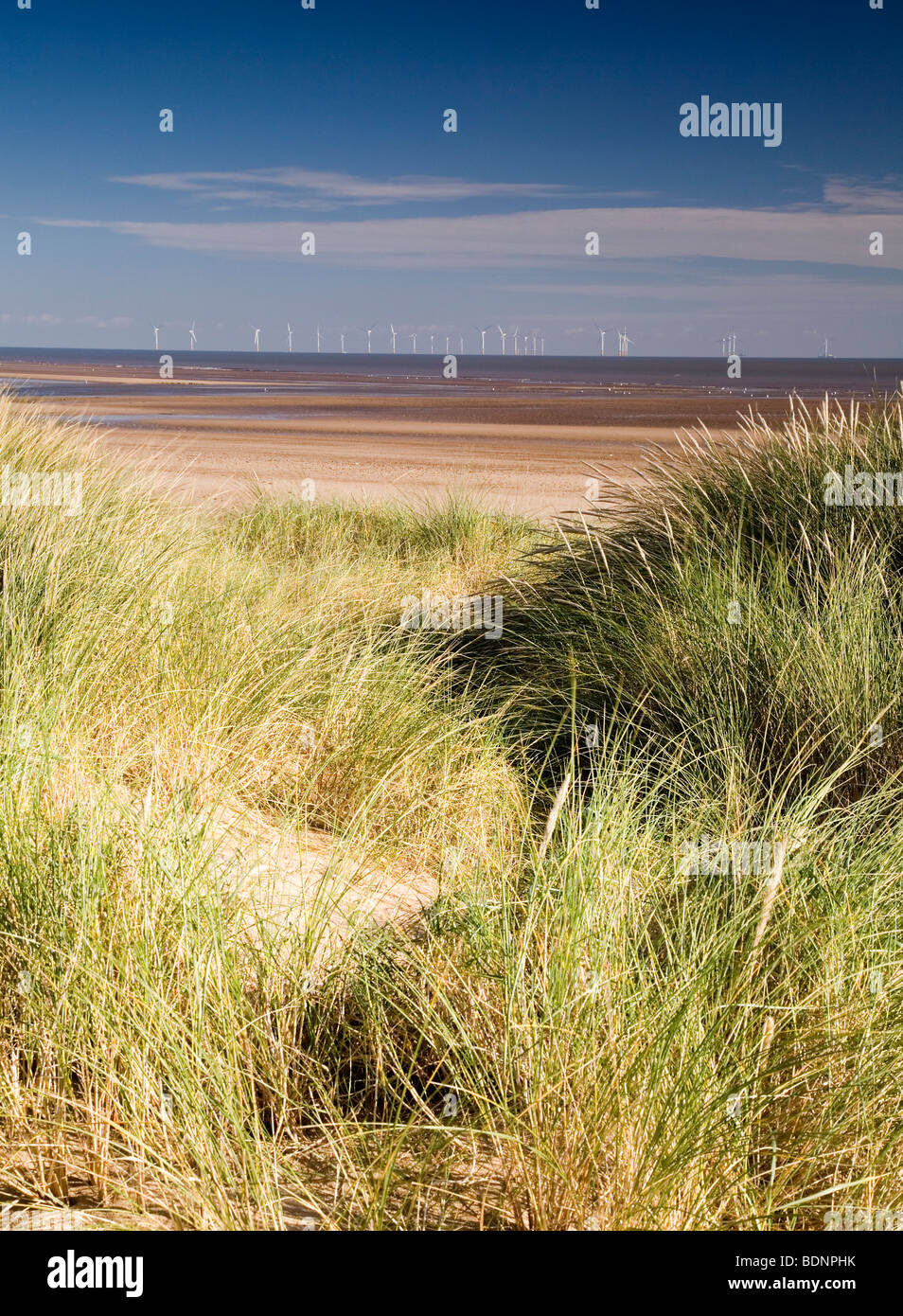 Lynn et Inner Dowsing ferme éolienne offshore Skegness Lincolnshire Angleterre vu de la réserve naturelle nationale de Gibraltar Point. Banque D'Images