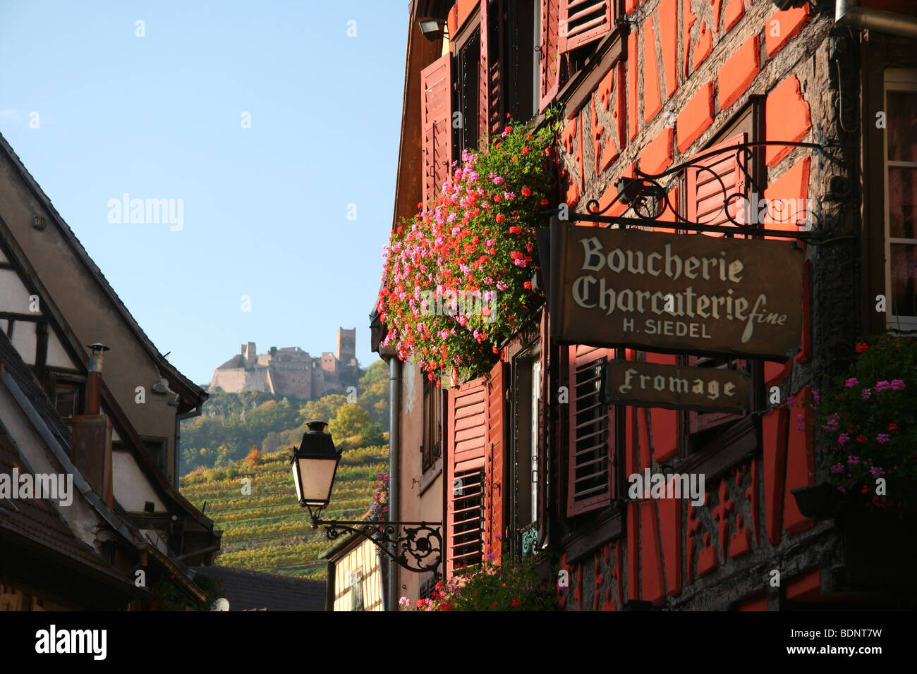 Jolies maisons à colombages dans une rue de Ribeauvillé, Alsace avec vue sur château, Château de st ulrich dans l'arrière-plan Banque D'Images