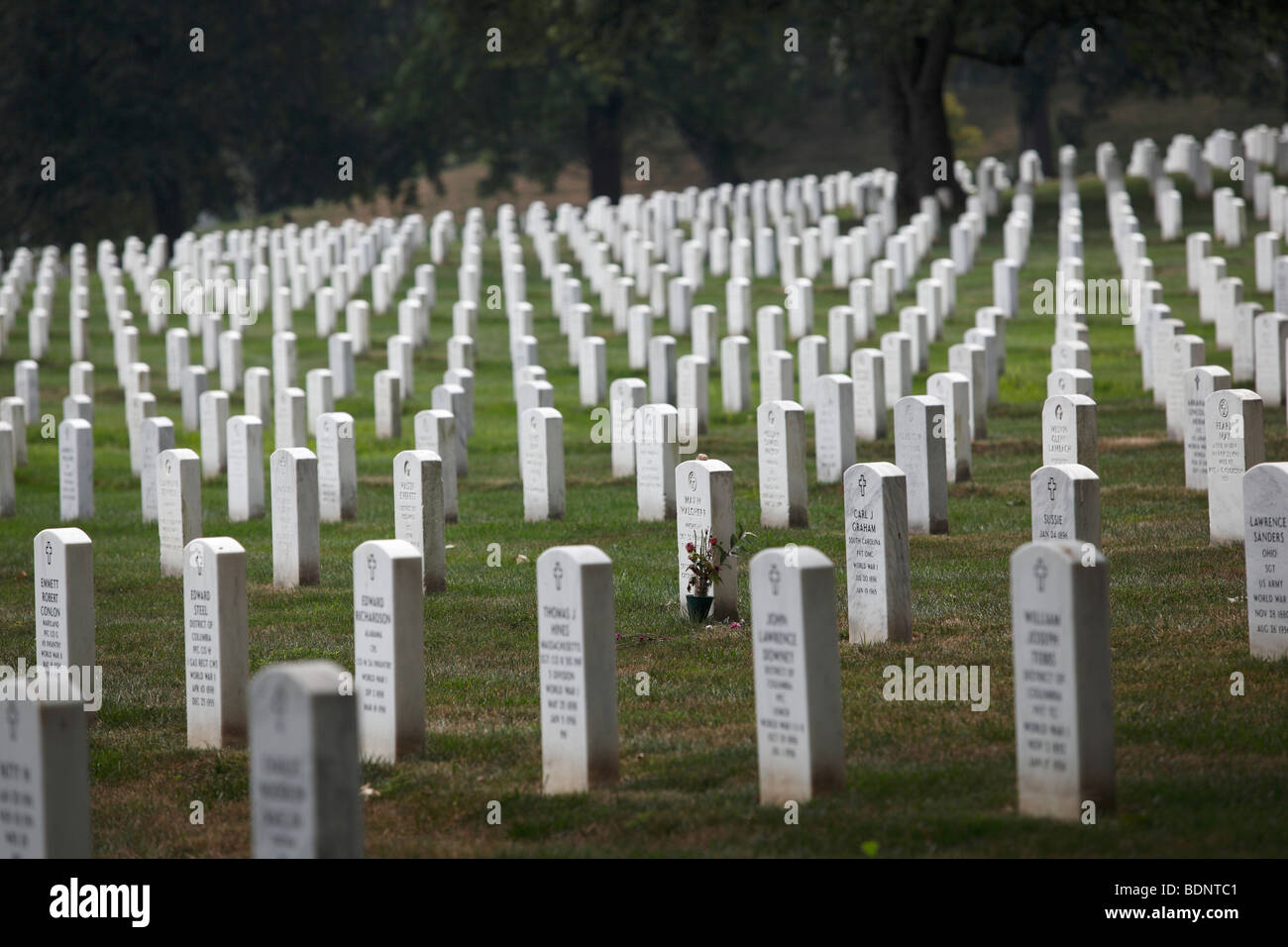 Une seule pierre tombale se distingue par des fleurs d'un être cher au cimetière national d'Arlington, Arlington, VA. Banque D'Images