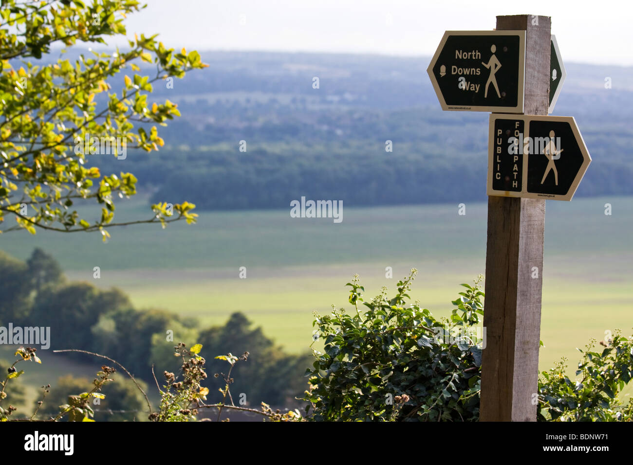 North Downs Way et signer Banque D'Images