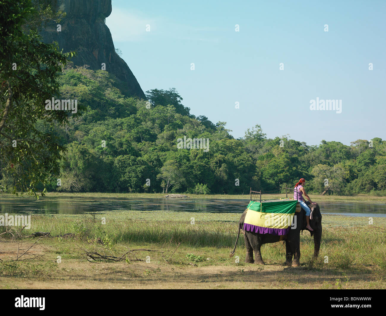Jeune homme sur elephant par river, rock formation in background Banque D'Images