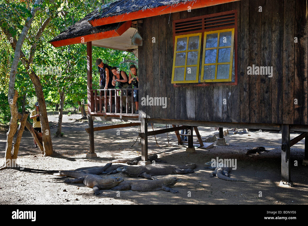 Les touristes photographiant des varans, Rinca Island, Loh Buaya, le Parc National de Komodo, en Indonésie, en Asie du sud-est Banque D'Images