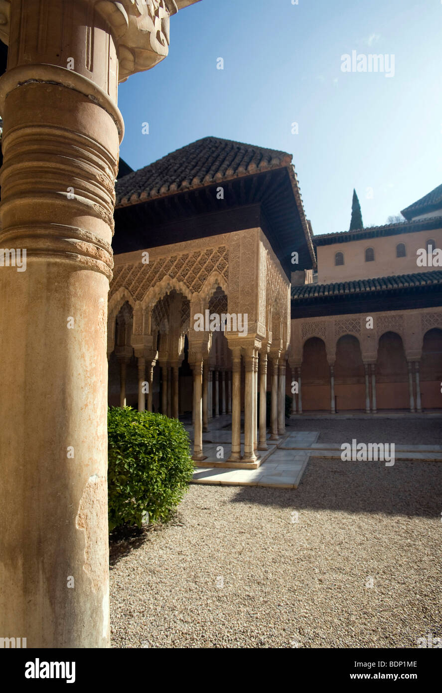 Cour des Lions, à l'Alhambra, Grenade, Espagne Banque D'Images