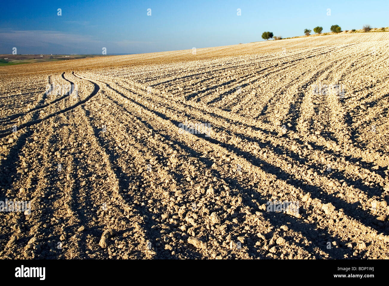 Les champs de blé avant préparé pour semer, Espagne Banque D'Images