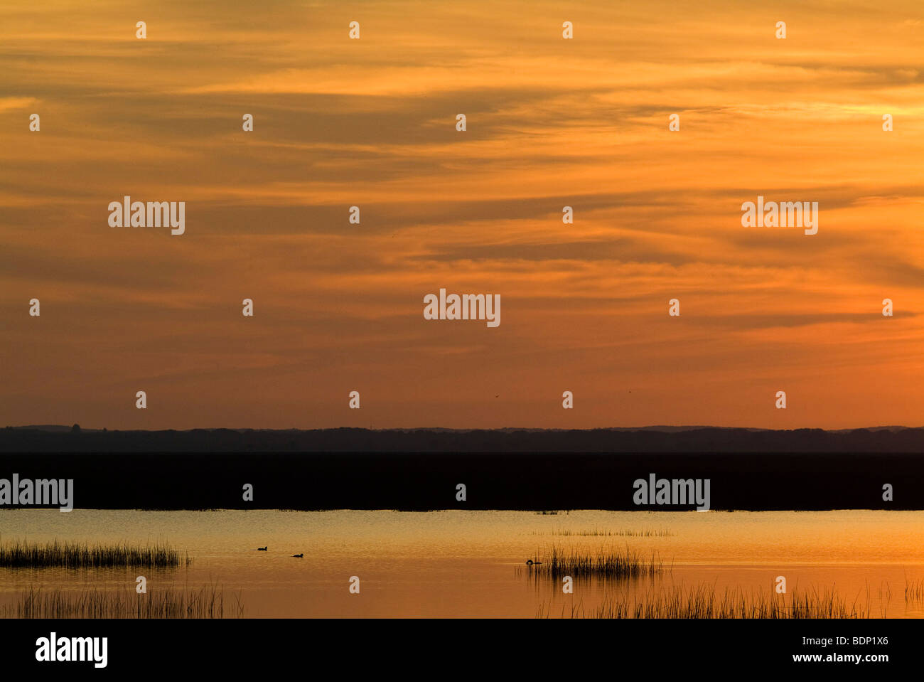 Coucher de soleil sur les marais de Donana, Espagne Banque D'Images
