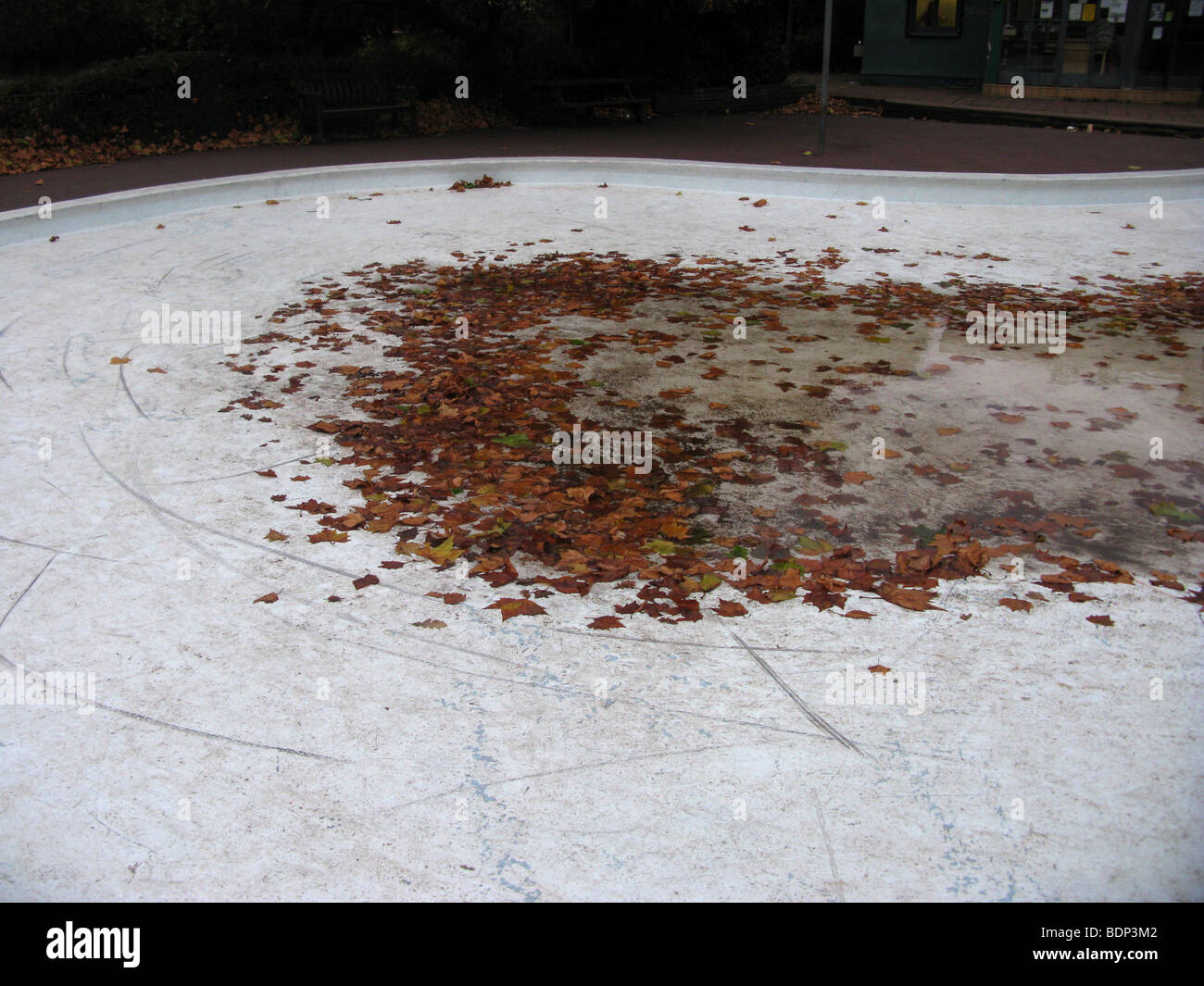 Piscine vide dans le nord de Londres avec des feuilles marron Banque D'Images