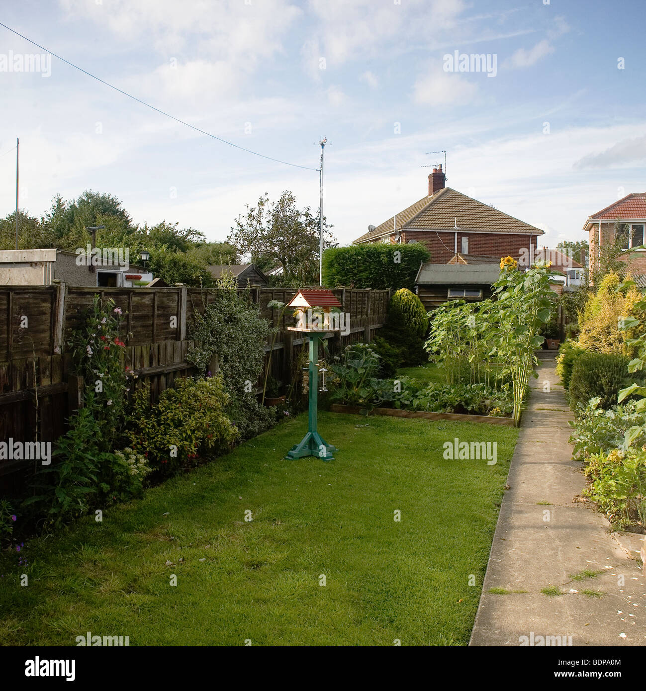 Jardin Anglais en été Banque D'Images