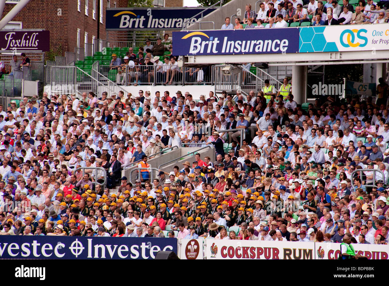 Match de cricket australien spectateurs regardant, London, UK Banque D'Images