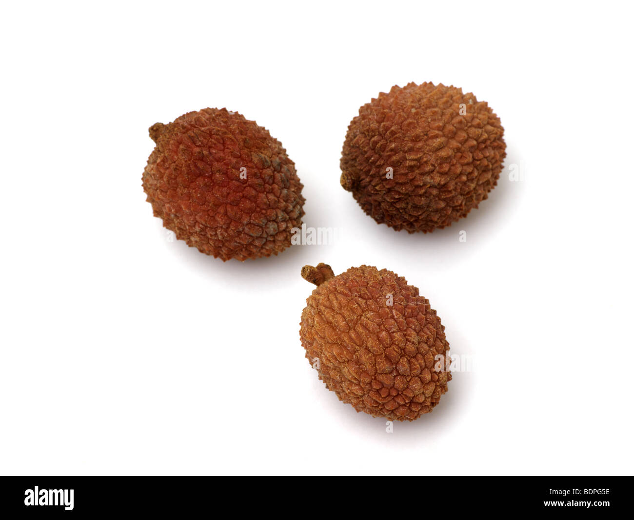 Les fruits tropicaux ou Litchi Litchi genre lichu et laichi famille Sapindaceae shépherdie du Canada. Banque D'Images