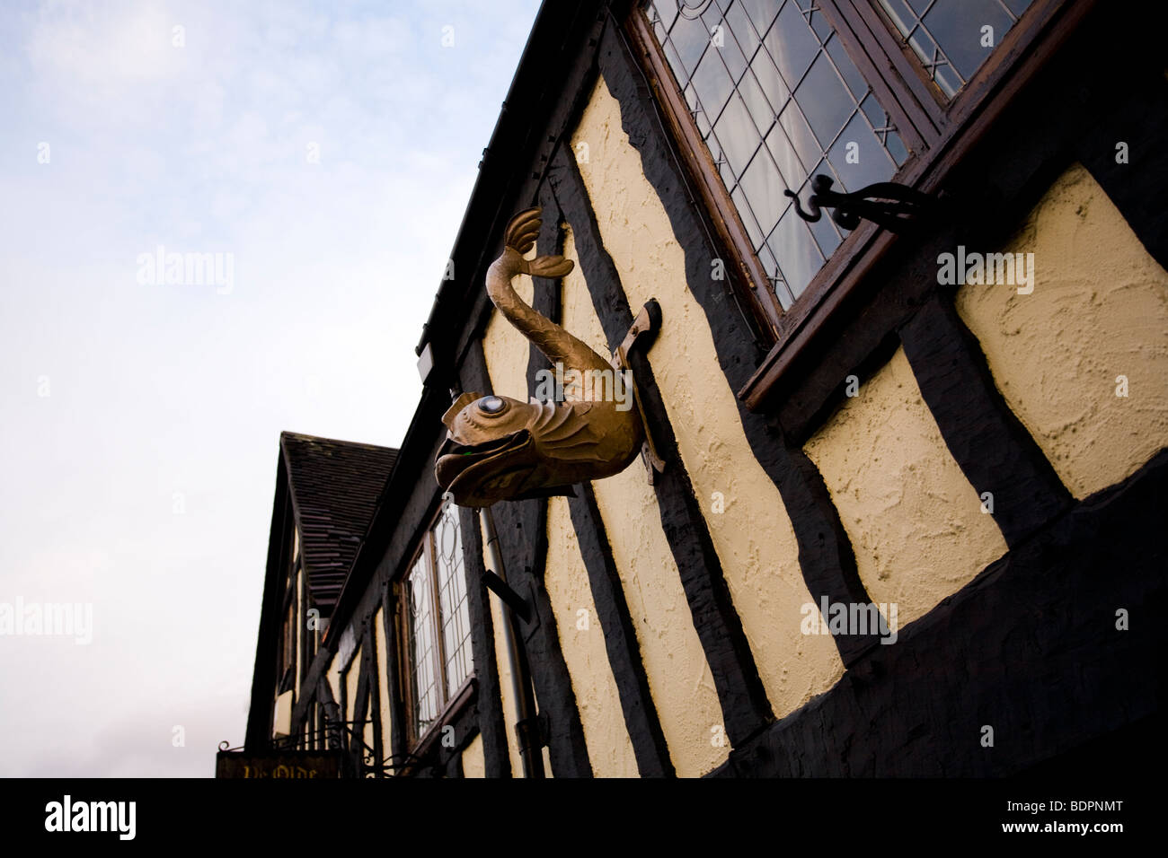 Ye Olde Dolphin Inn - Derby le plus vieux et le plus célèbre pub, datant de 1530. Banque D'Images