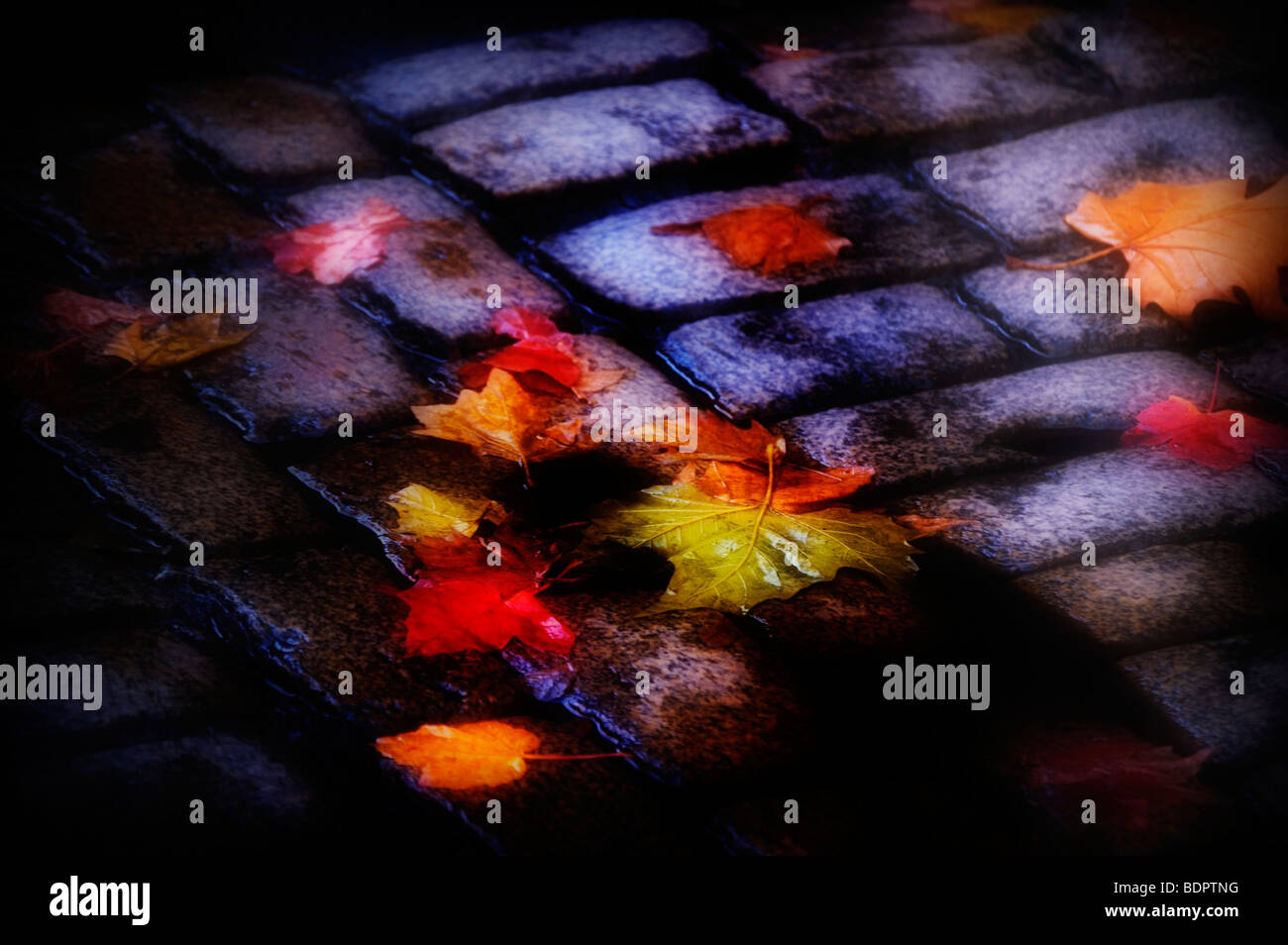 Feuilles d'automne sur les pavés, Banque D'Images