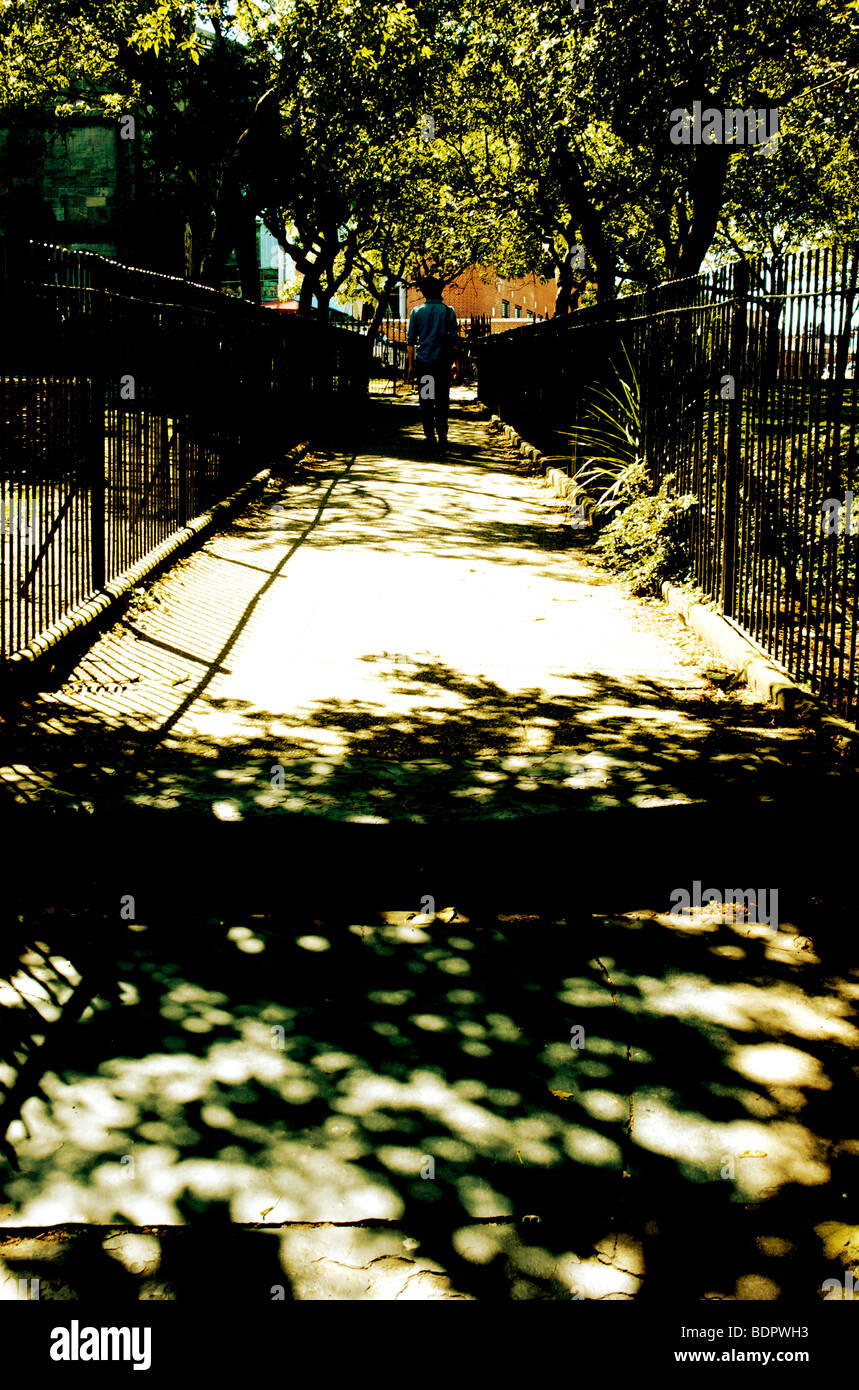 Une seule personne marchant le long d'un chemin entre fer forgé à l'ombre de cerisiers Banque D'Images