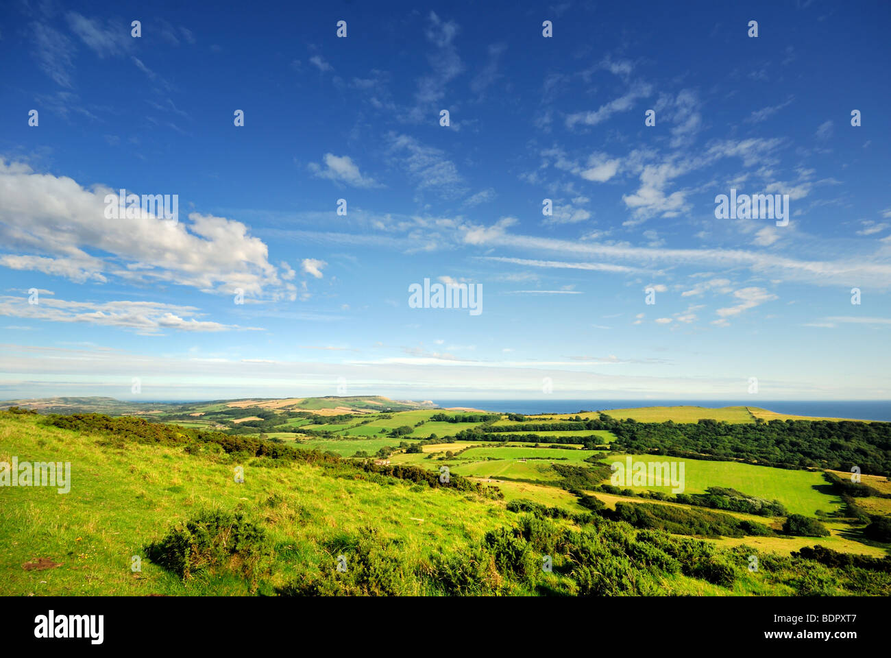 En été, les collines de Purbeck Dorset UK Banque D'Images