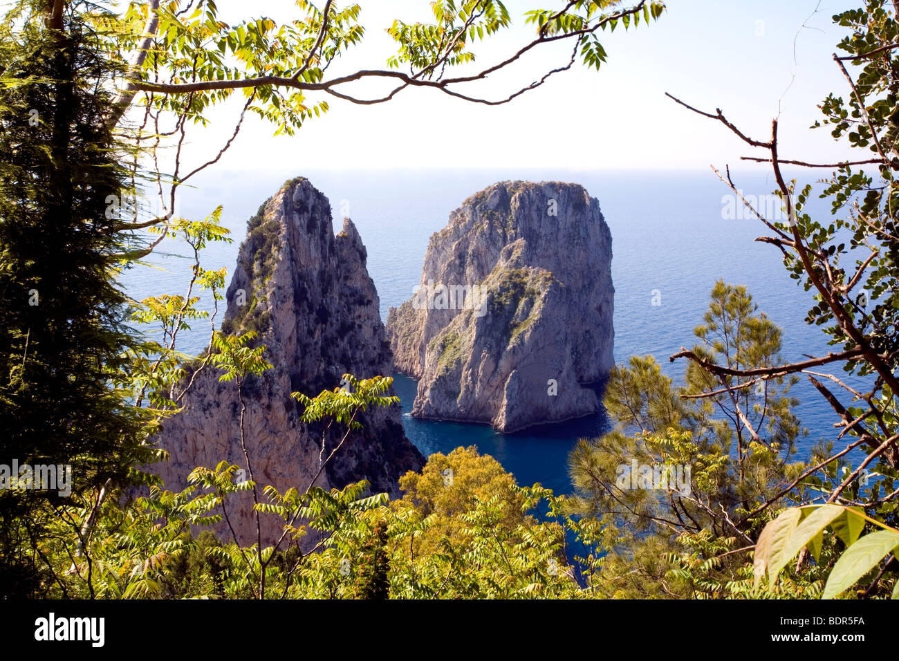 Les célèbres Faraglioni twin Rocks entouré par l'eau et pris d'une falaise au-dessus, une vue sur l'île de Capri, Italie Banque D'Images