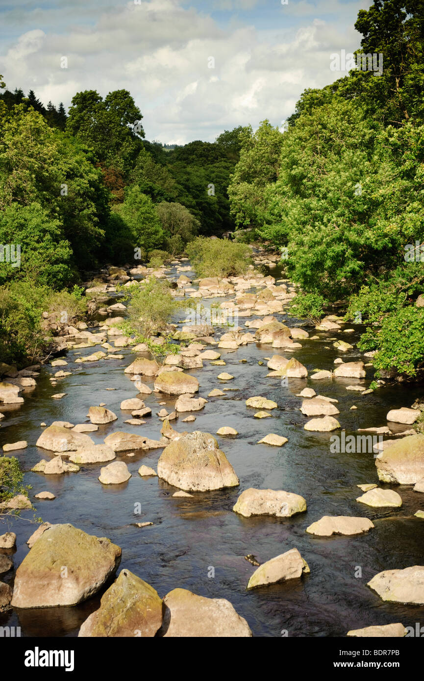 Après-midi d'été, rivière Elan, Powys, Mid Wales UK Banque D'Images