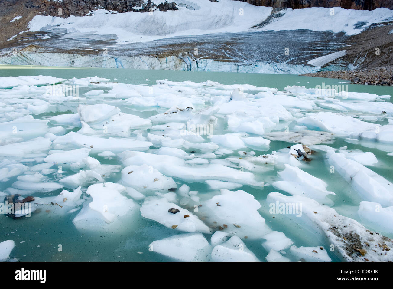 Blocs de glace à partir de la fonte des glaciers, Cavell des Glaciers, Jasper National Park, Alberta, Canada Banque D'Images