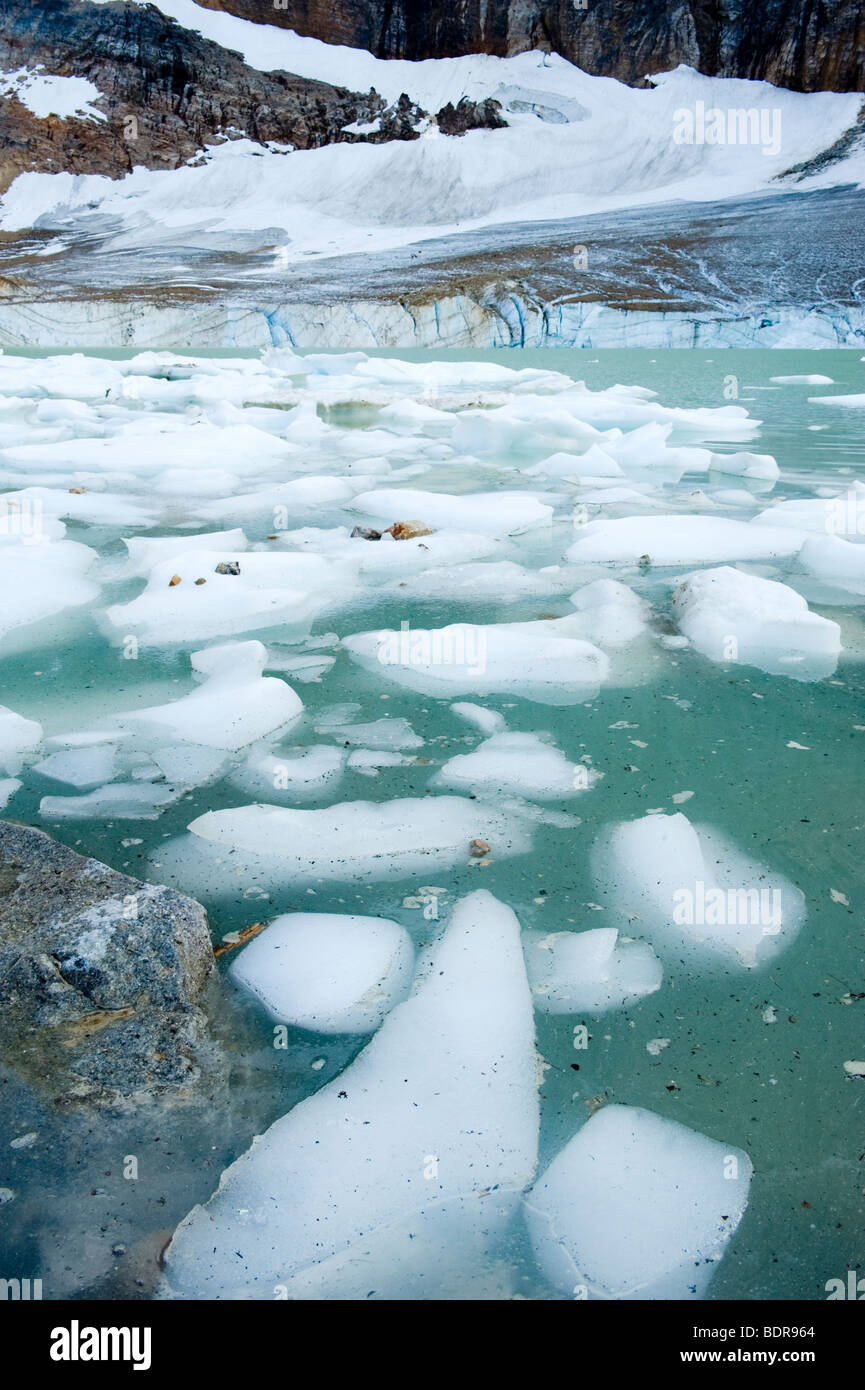 Blocs de glace à partir de la fonte des glaciers, Cavell des Glaciers, Jasper National Park, Alberta, Canada Banque D'Images
