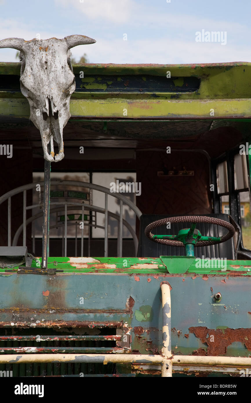 Old rusty Fédération de voiture avec crâne de vache Banque D'Images